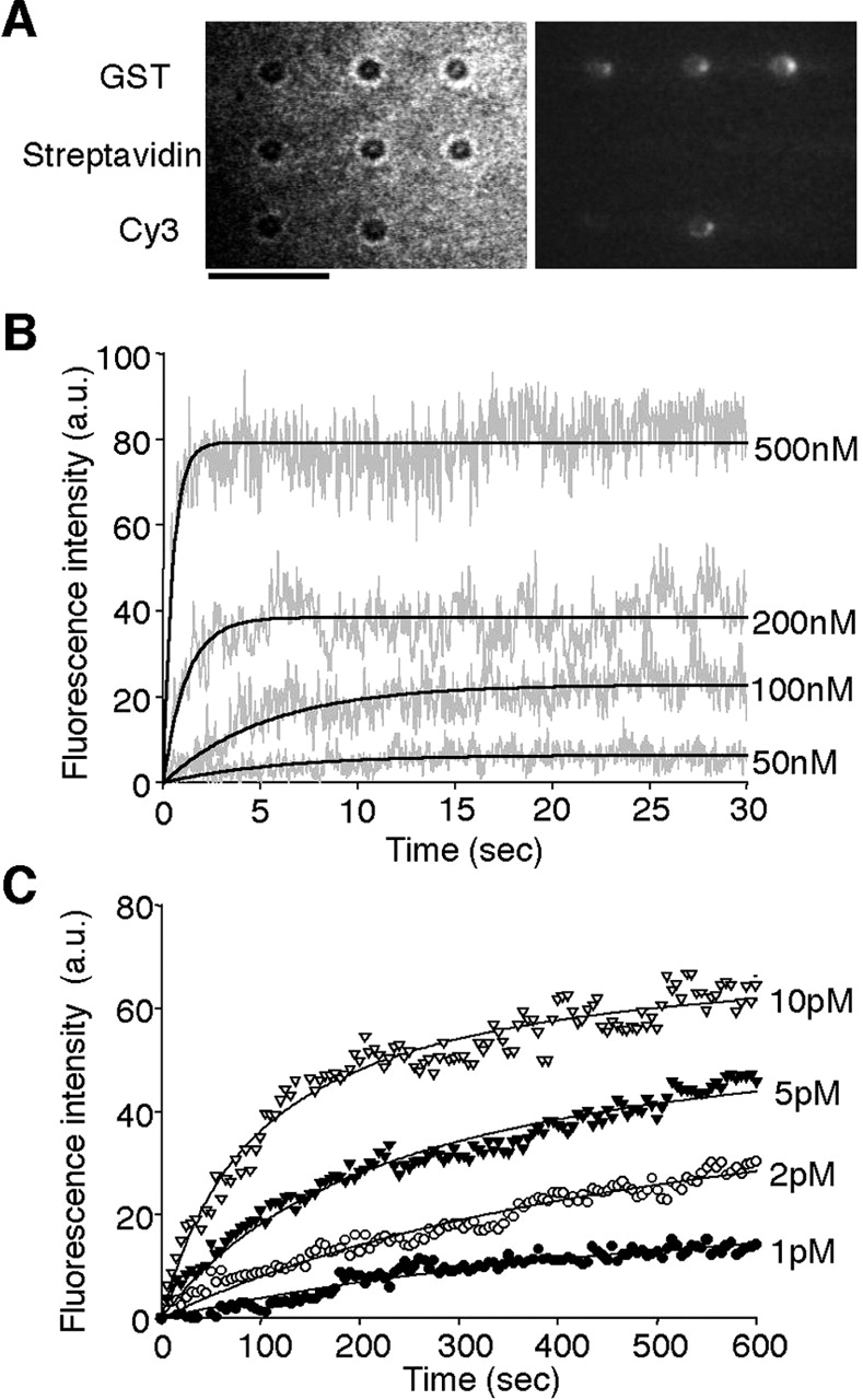 132fig3