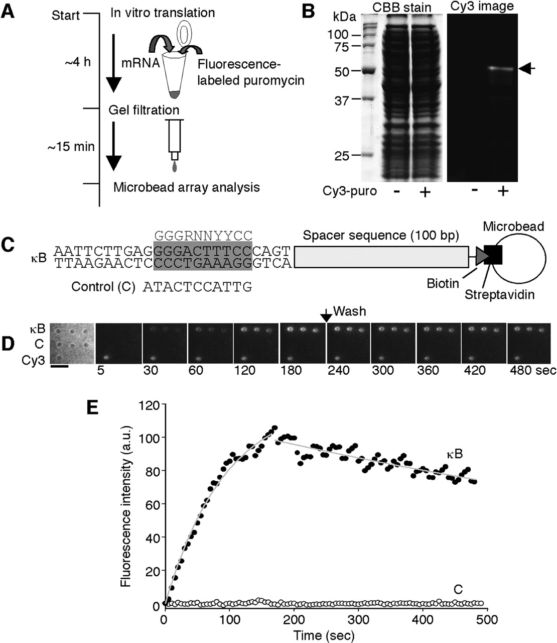 132fig5