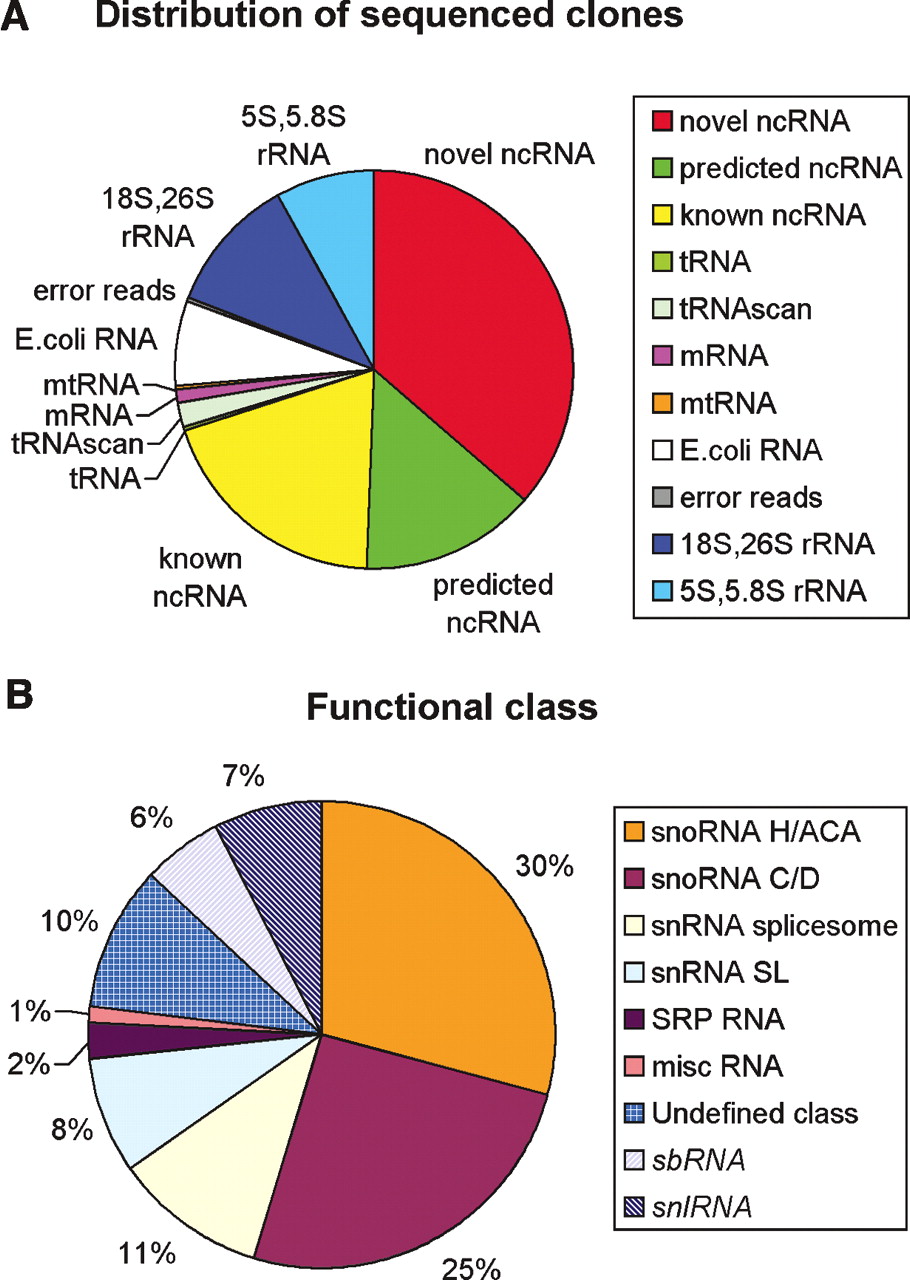 20fig1