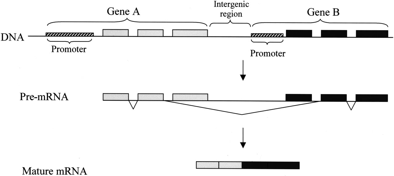 30fig1