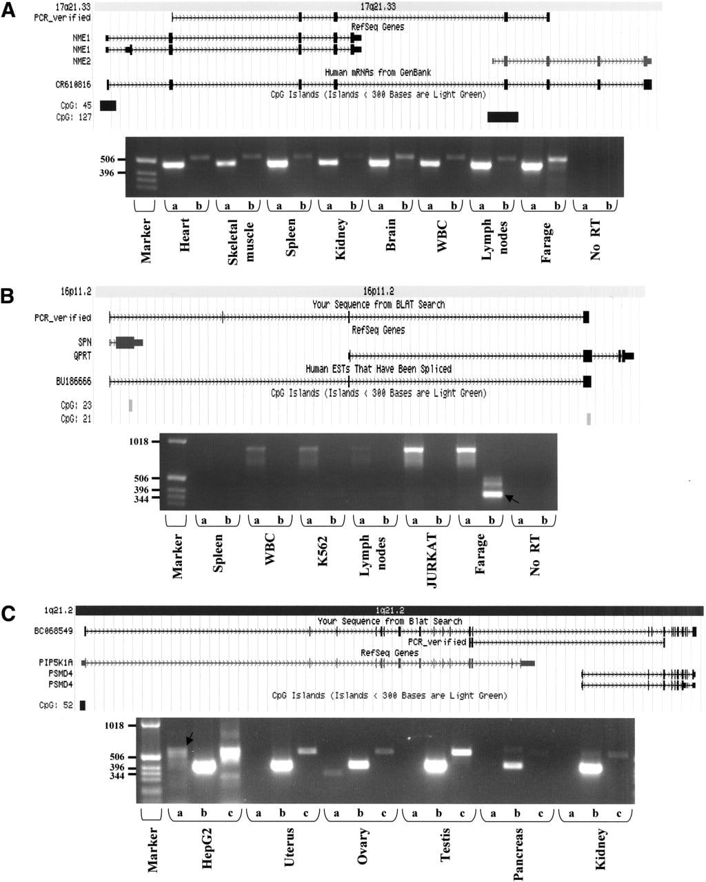 30fig4
