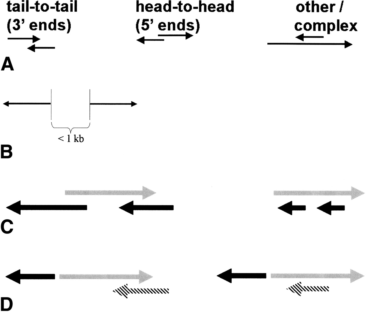 45fig1