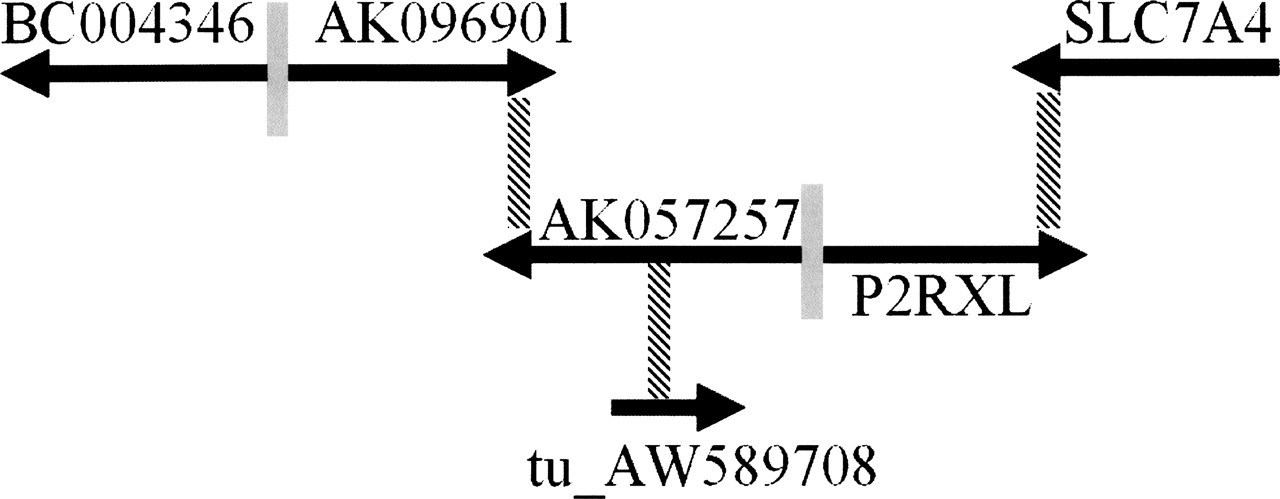 45fig2