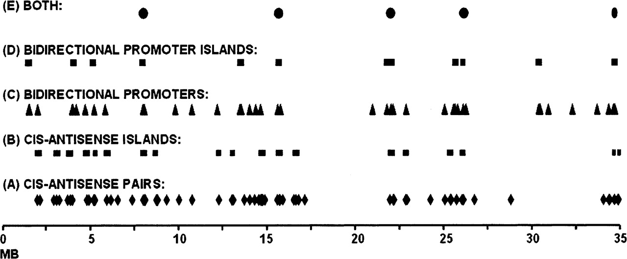 45fig3
