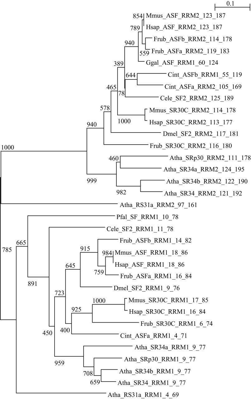 66fig3