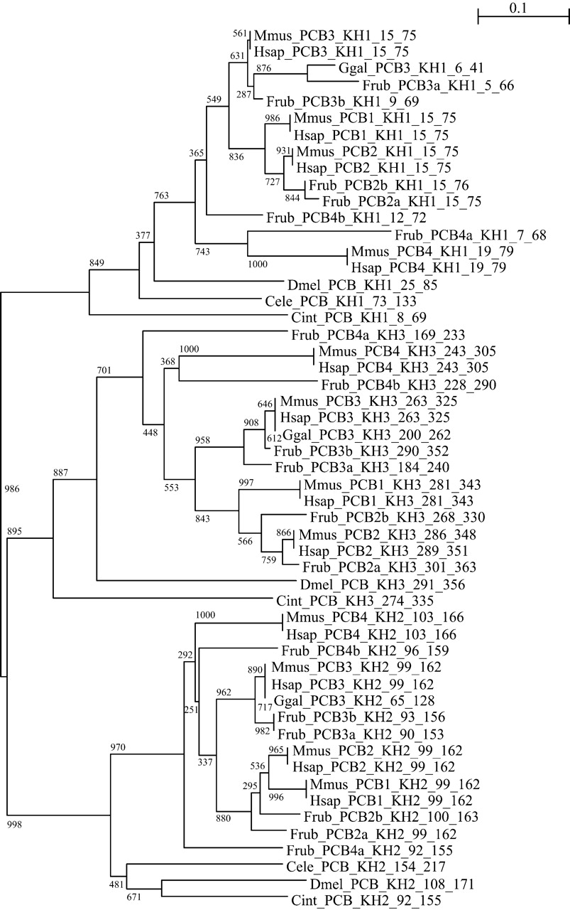 66fig4