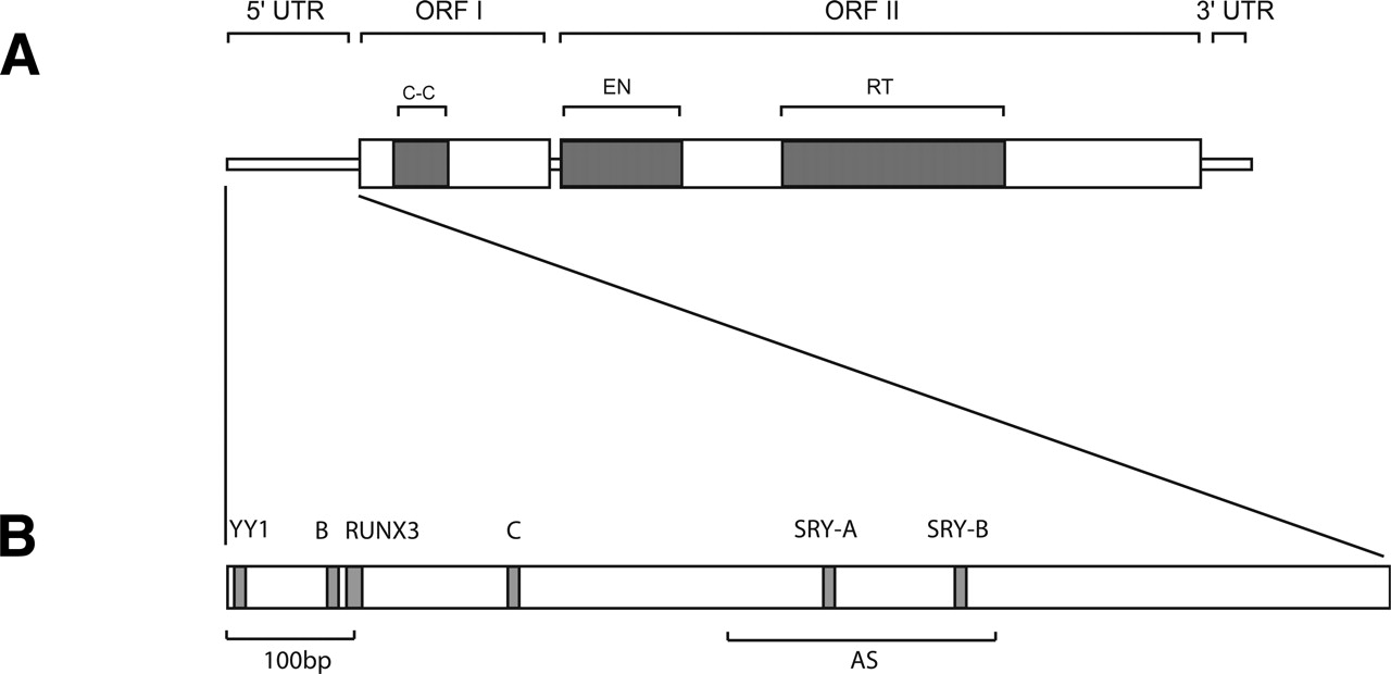 78fig1