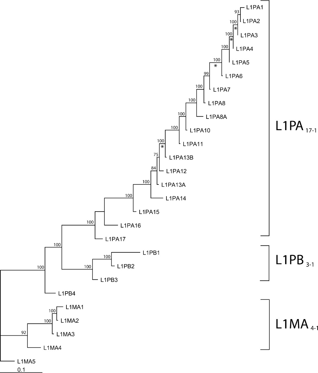 78fig2