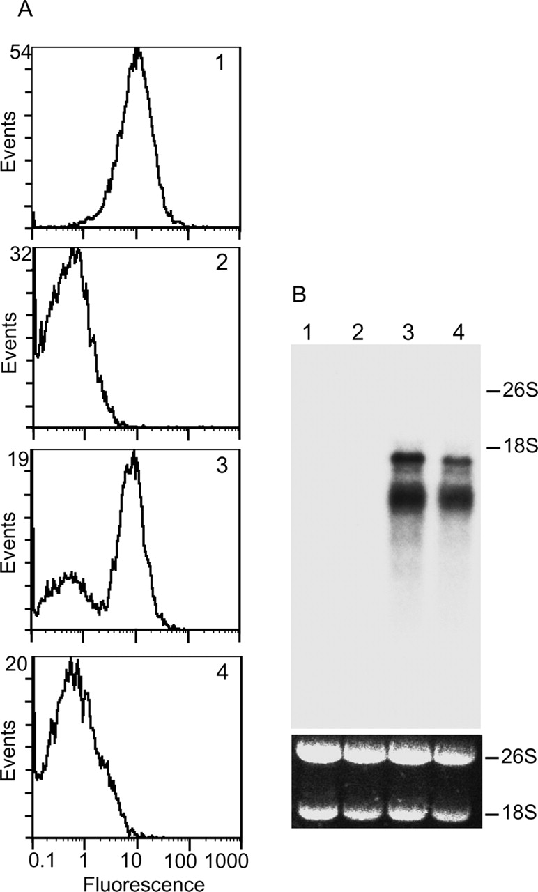 97fig4