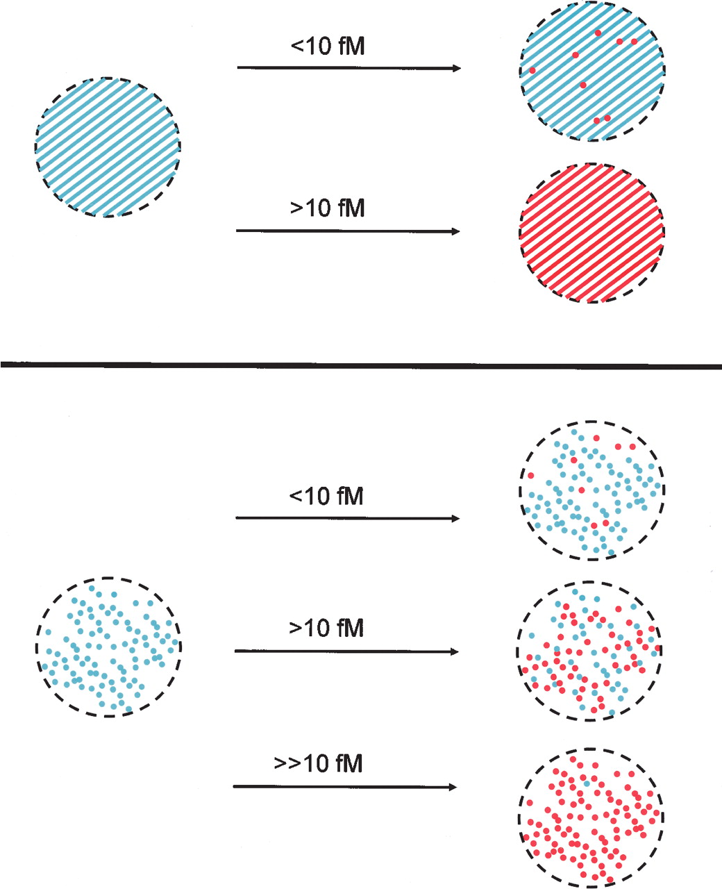 1195fig2