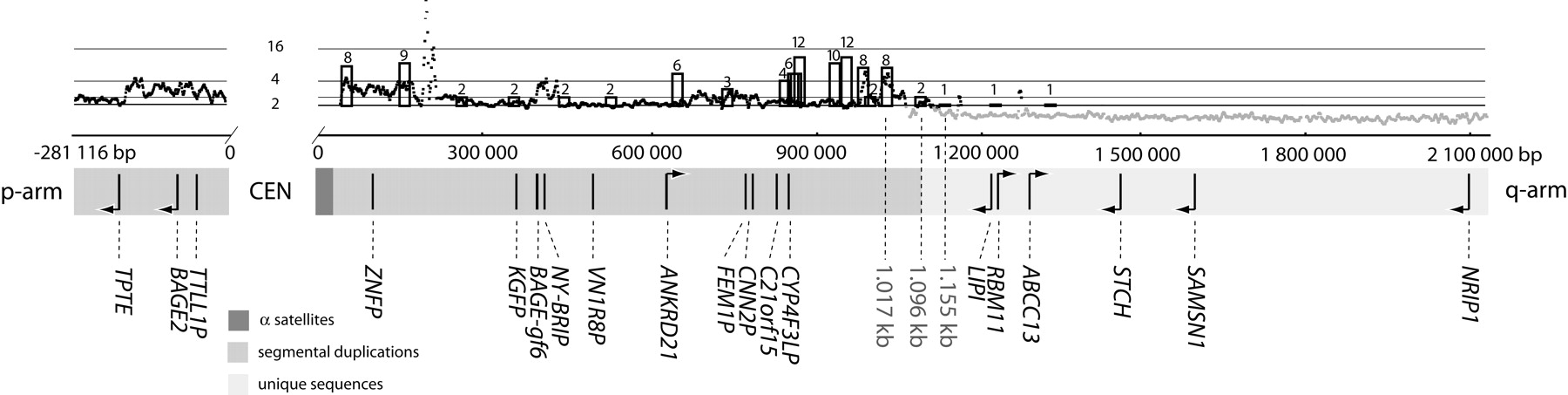 1198fig1
