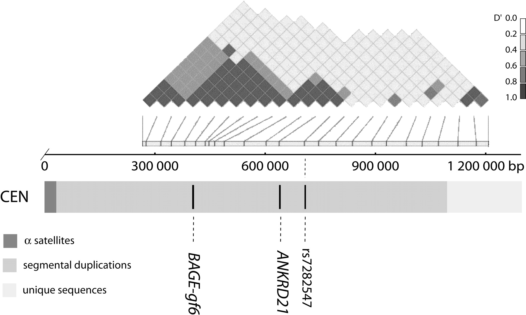 1198fig2