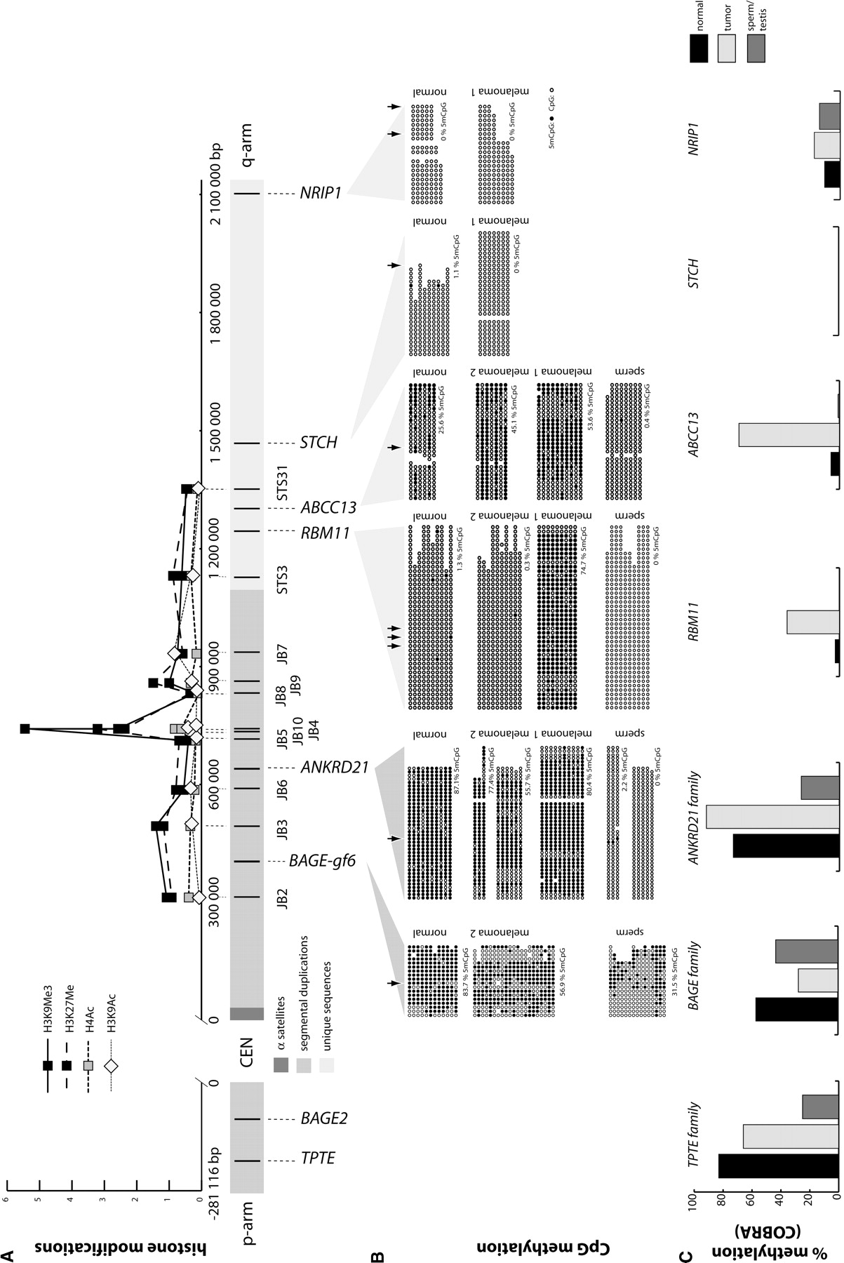 1198fig3