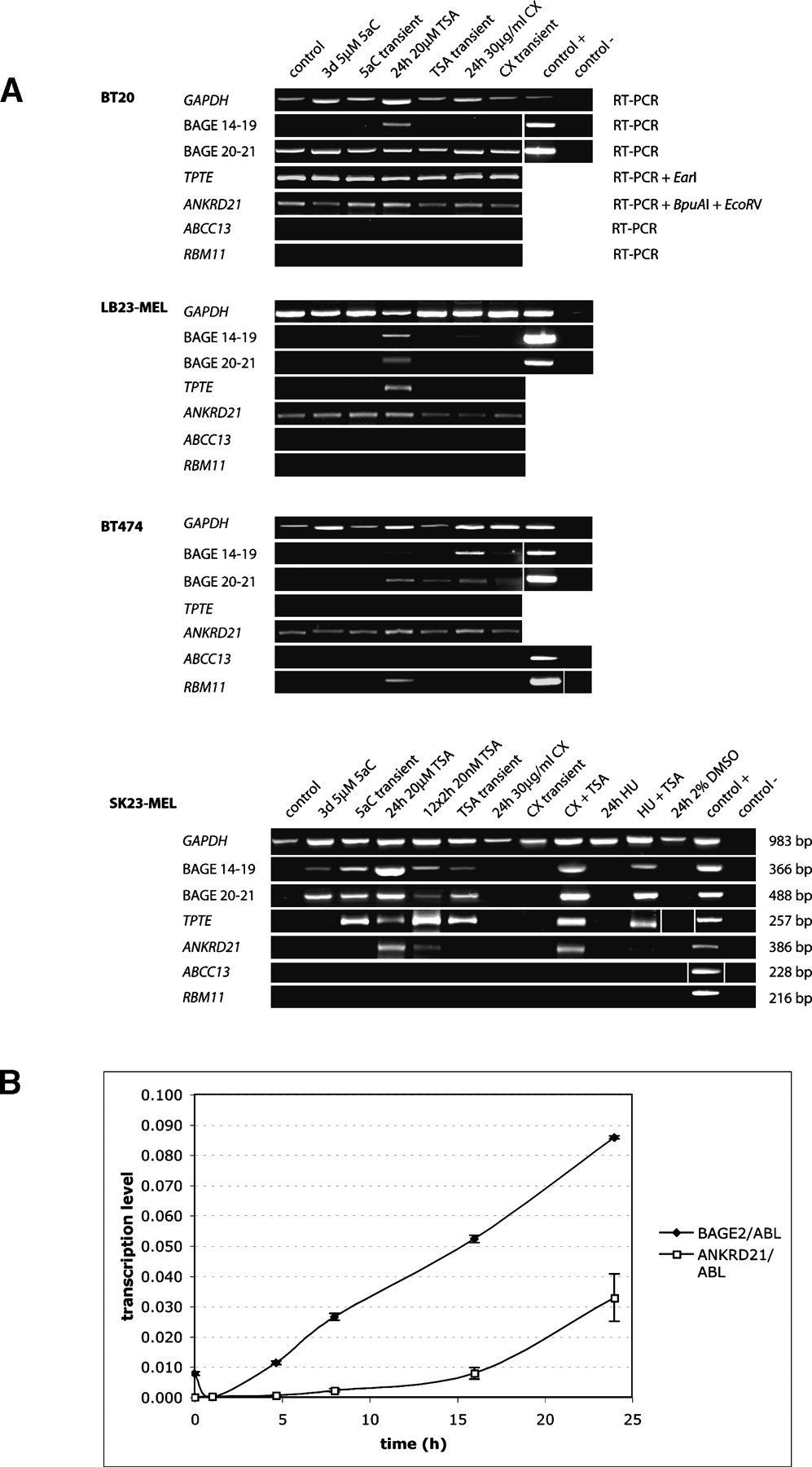 1198fig4