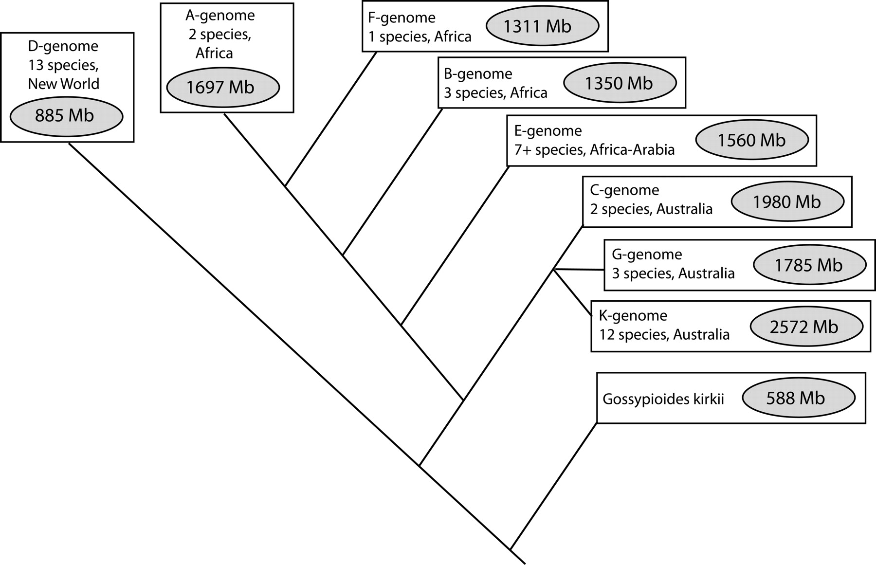 1252fig1