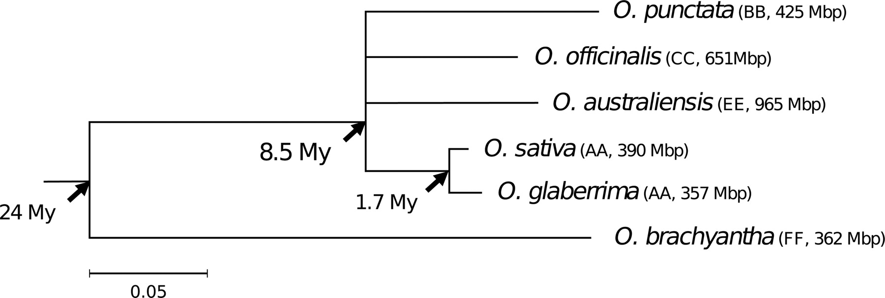 1262fig1