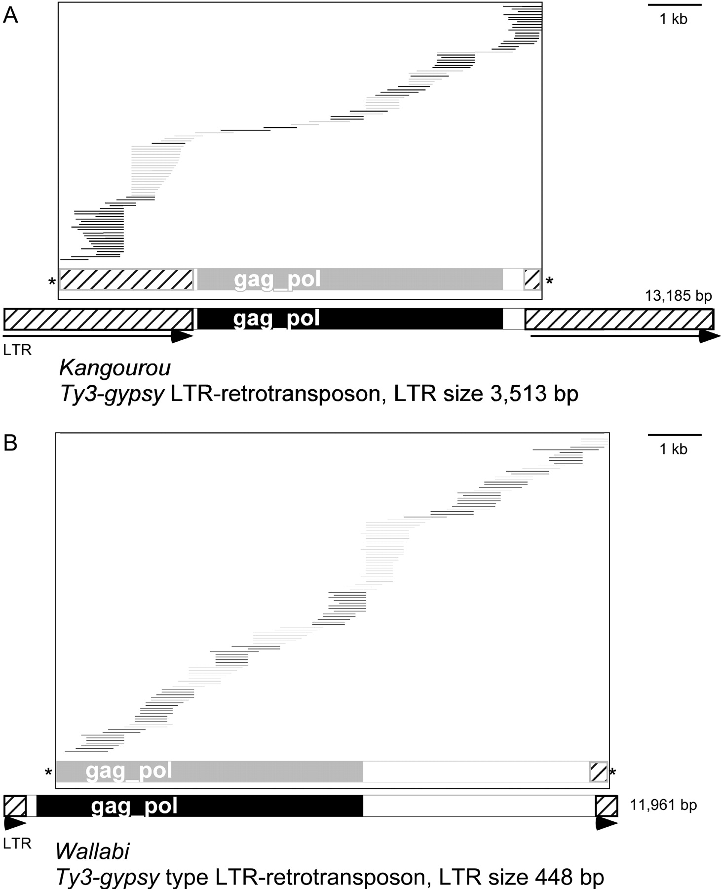 1262fig2