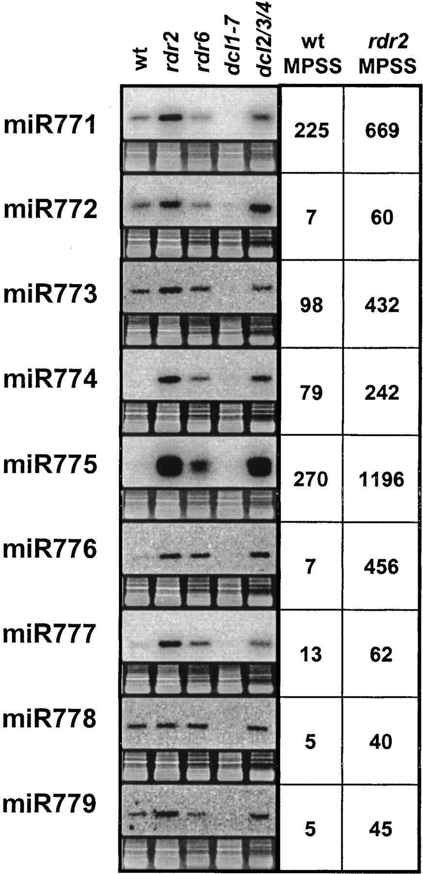 1276fig4