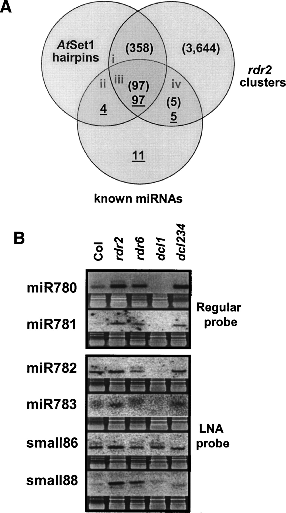 1276fig5
