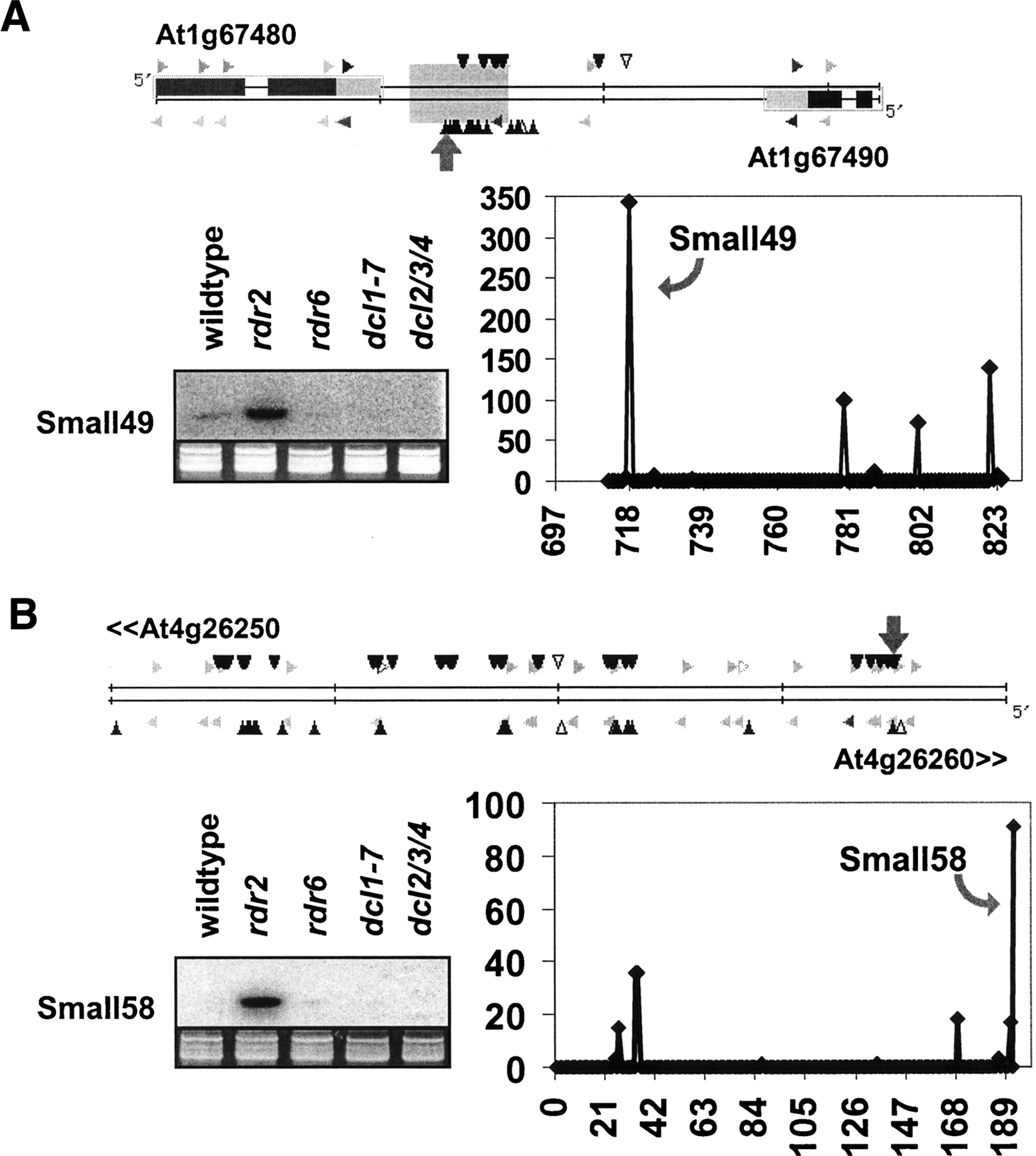1276fig6
