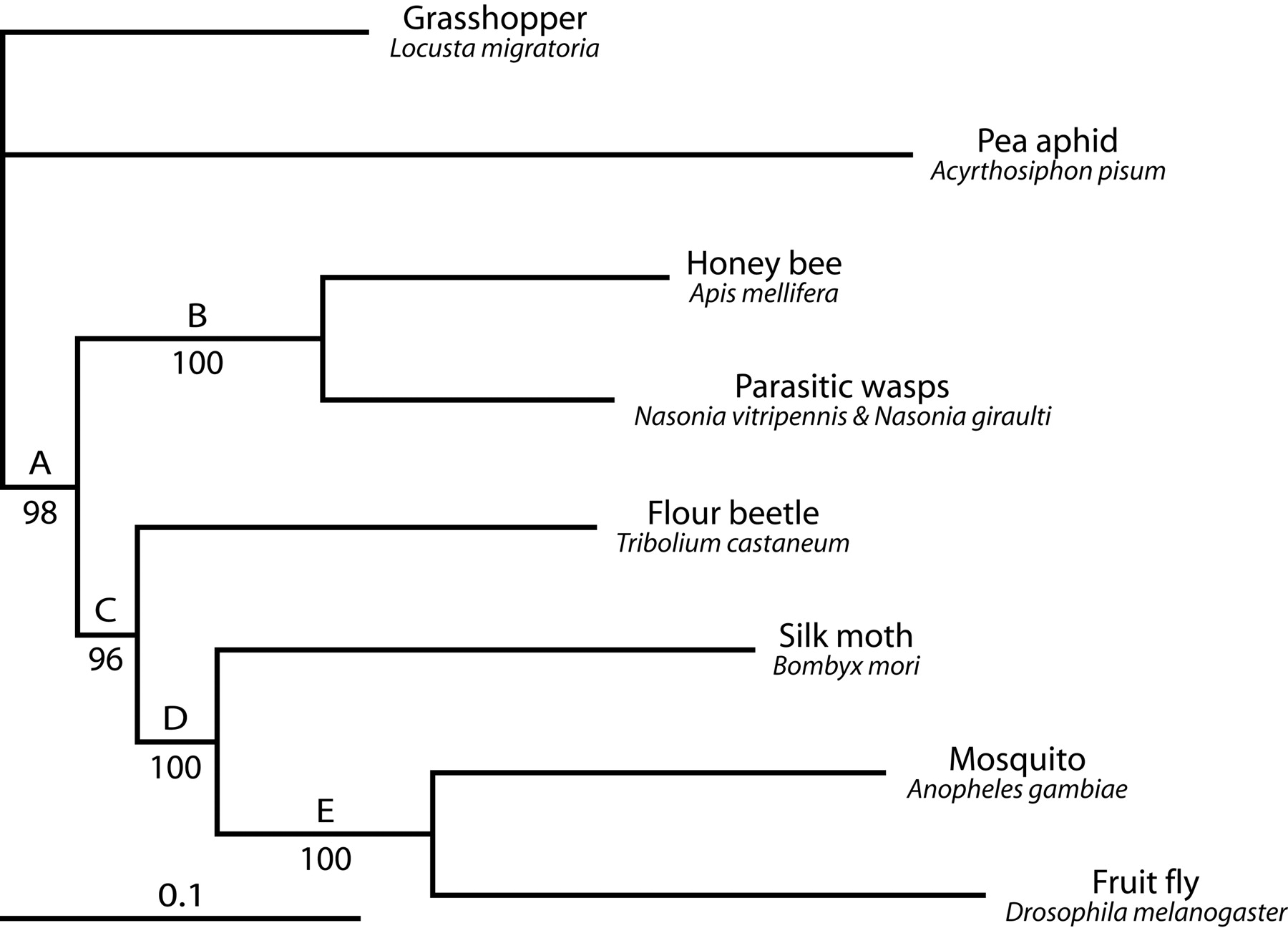 1334fig1