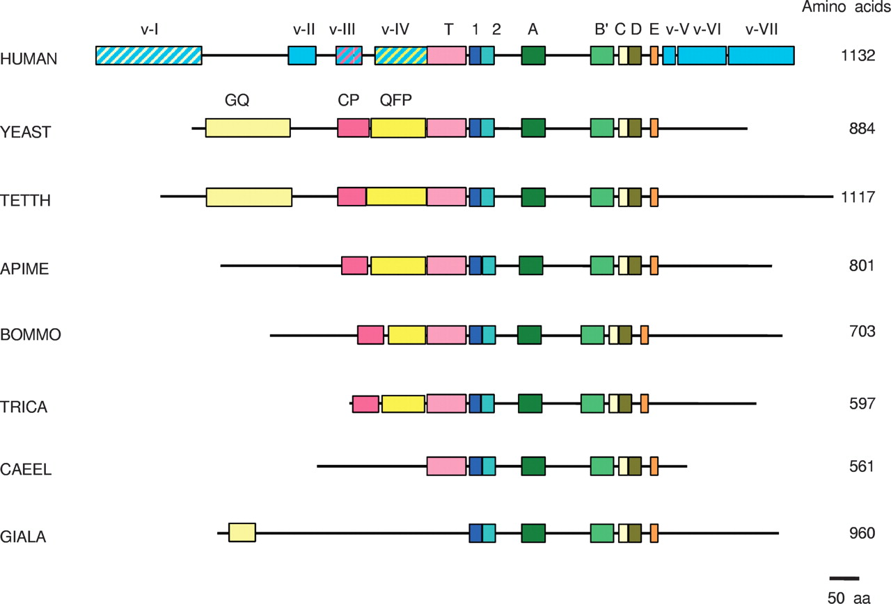 1345fig3