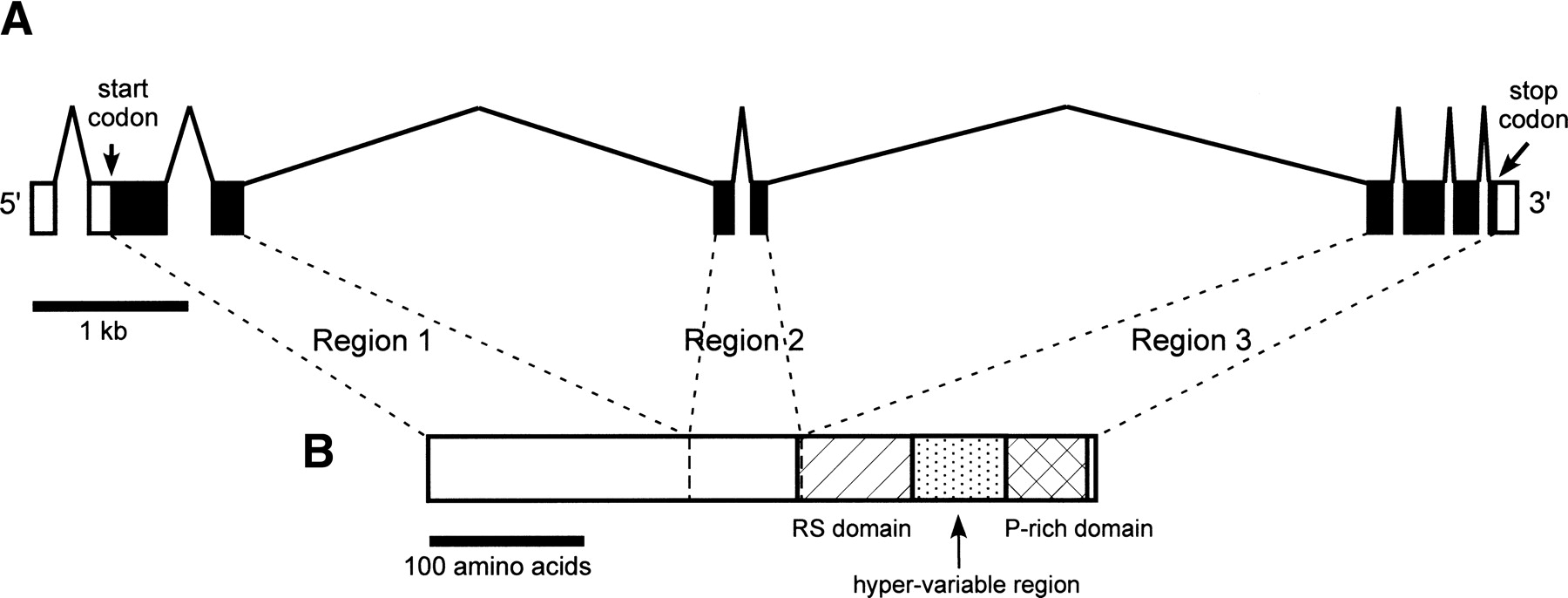 1366fig1