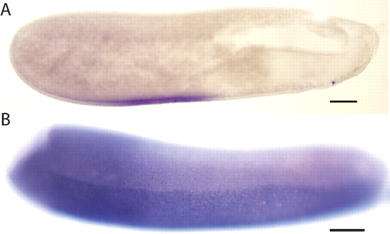 1376fig1