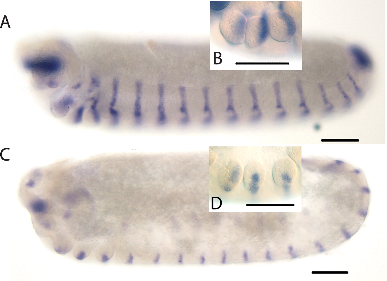 1376fig3
