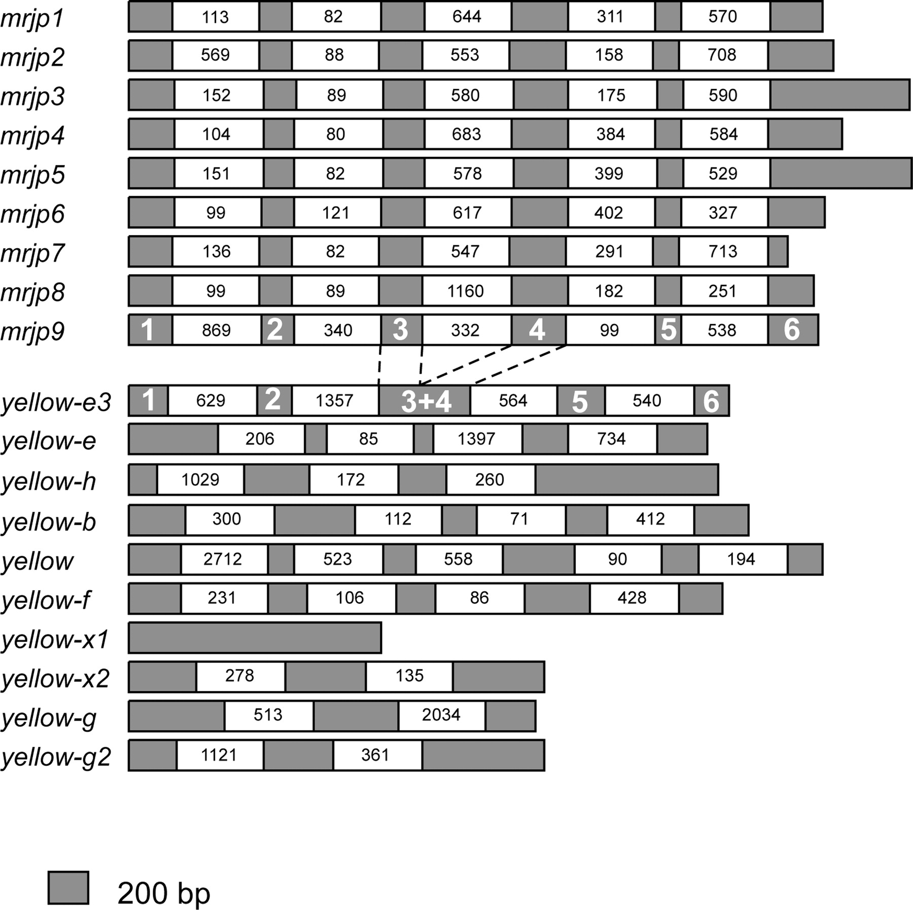 1385fig1