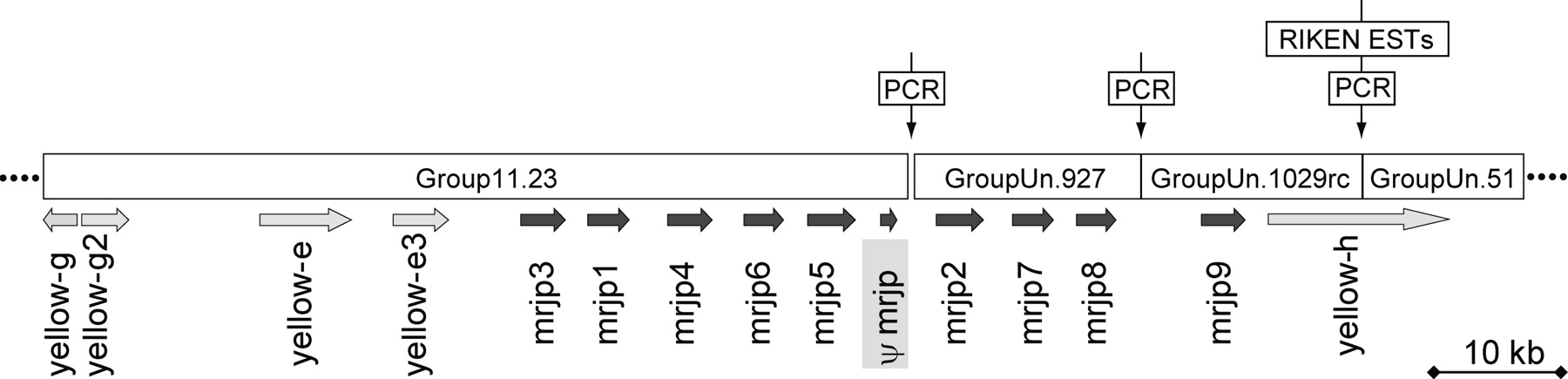 1385fig3