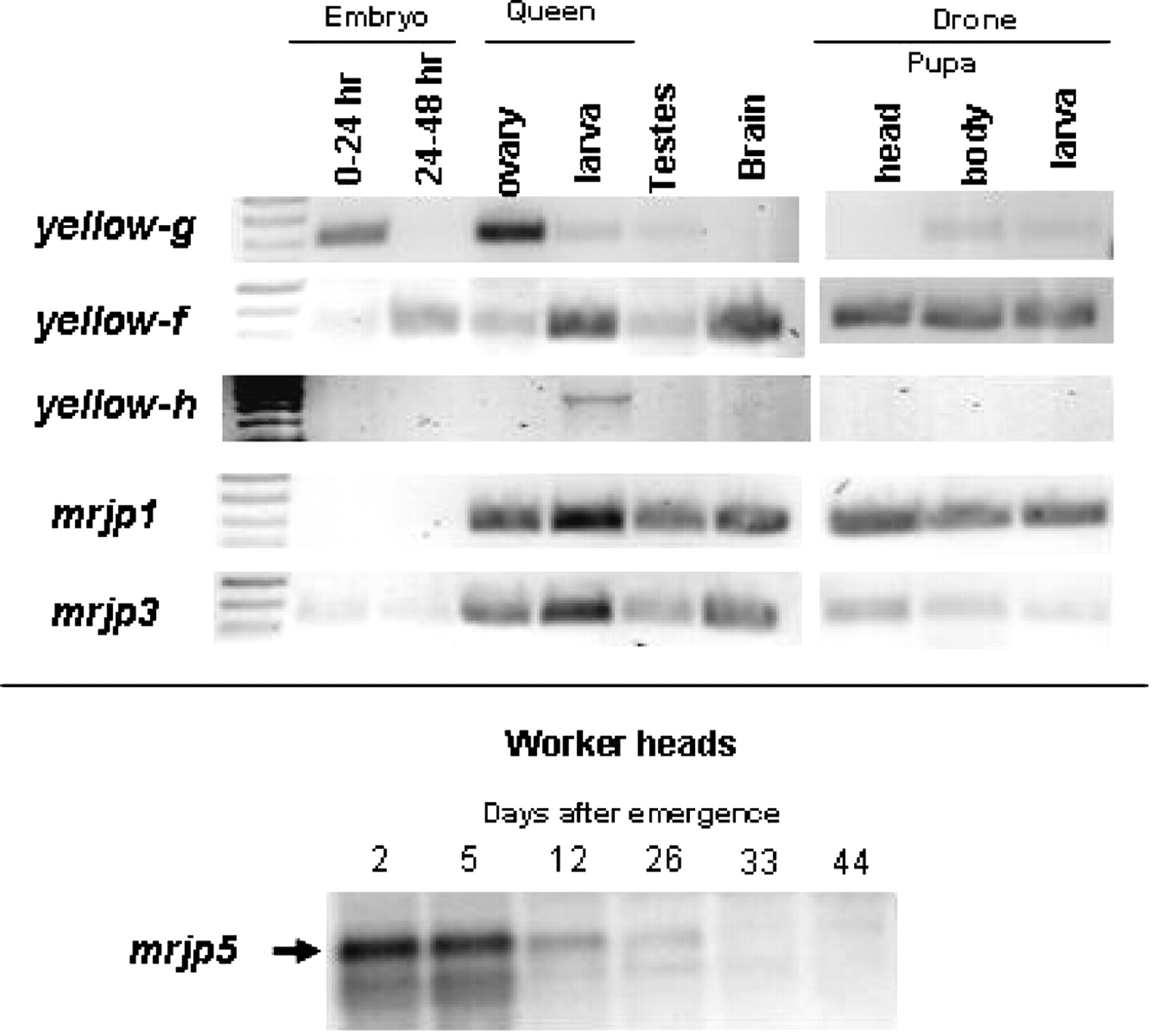 1385fig4