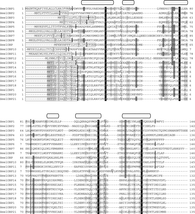 1404fig1