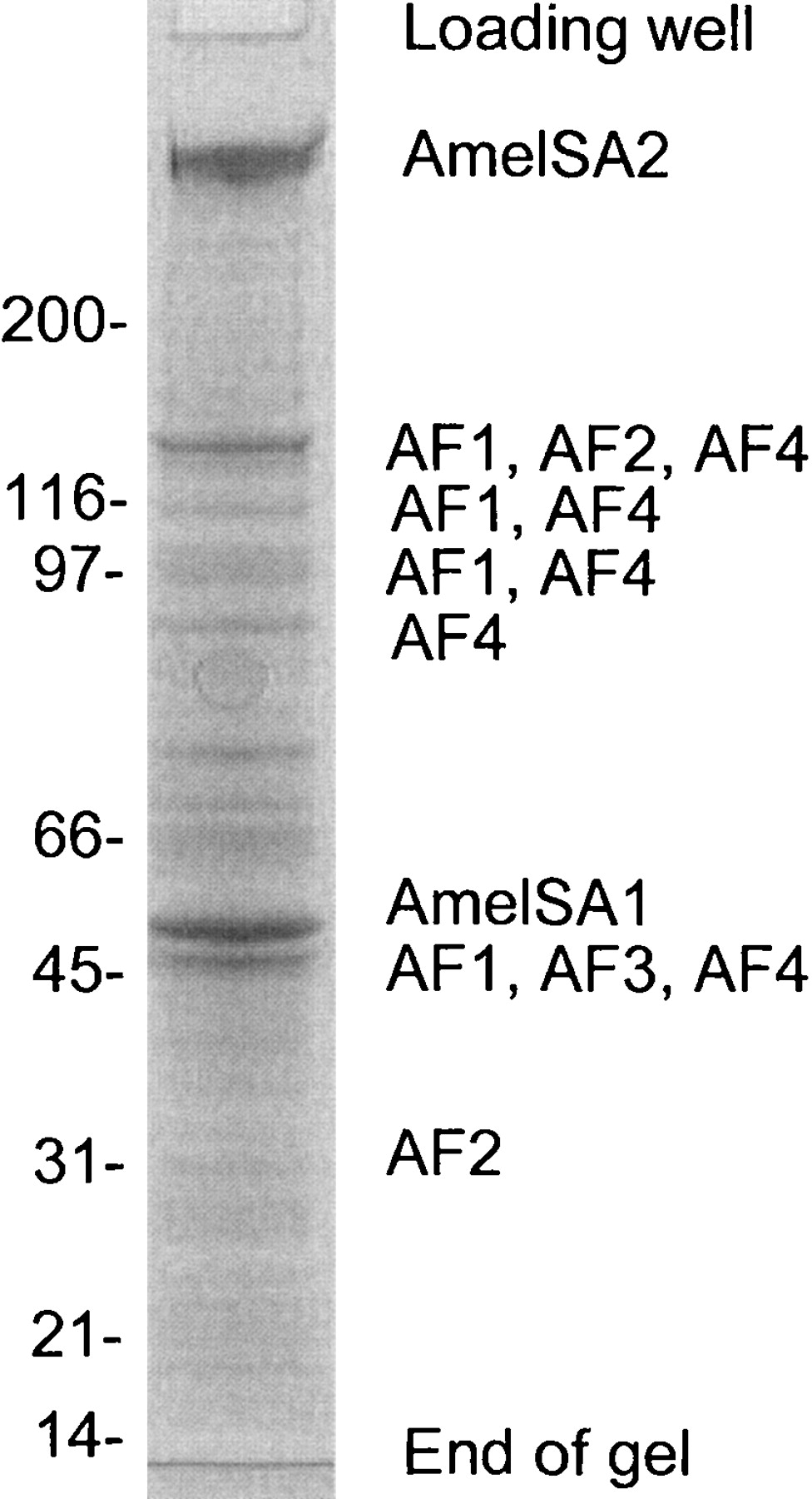 1414fig1