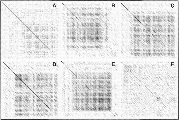 1414fig3