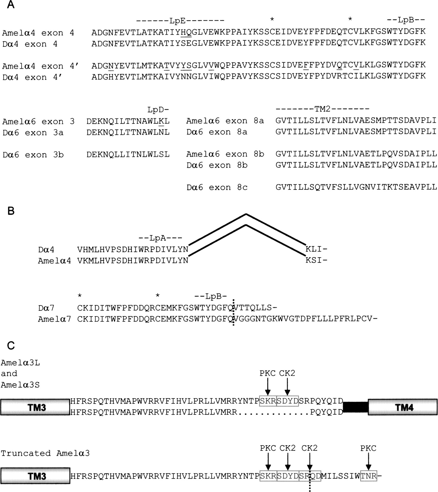 1422fig4