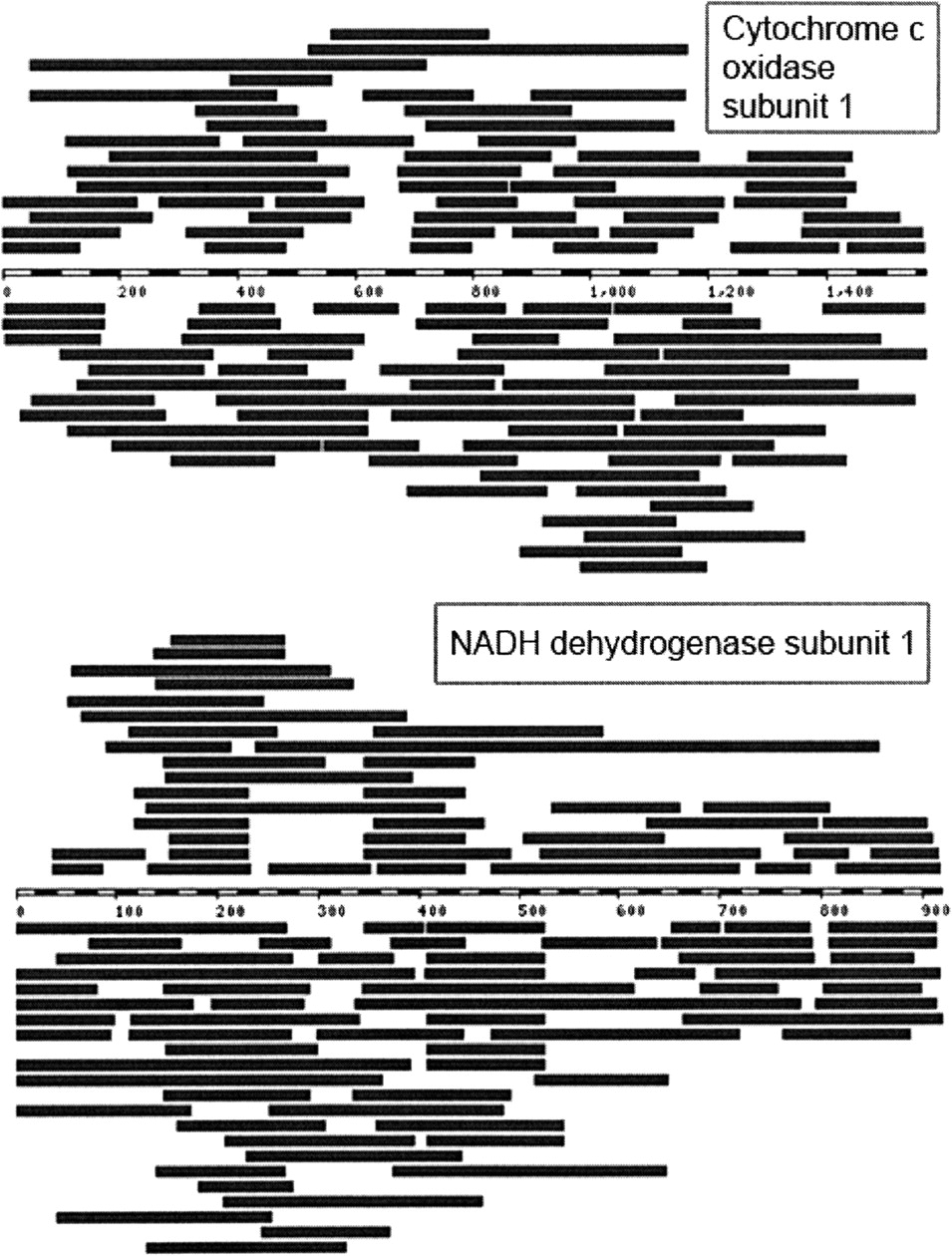 1431fig3