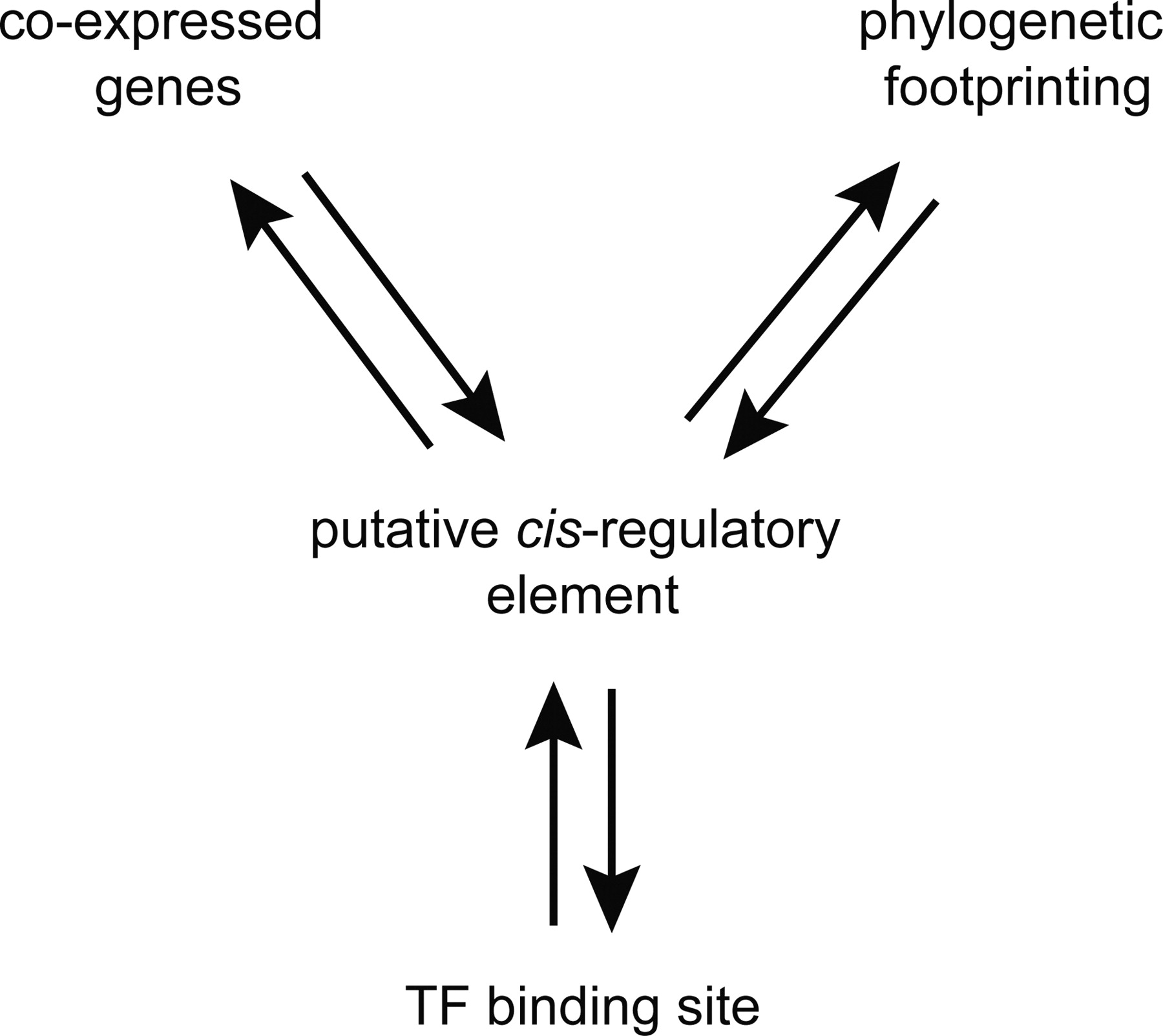 1445fig3