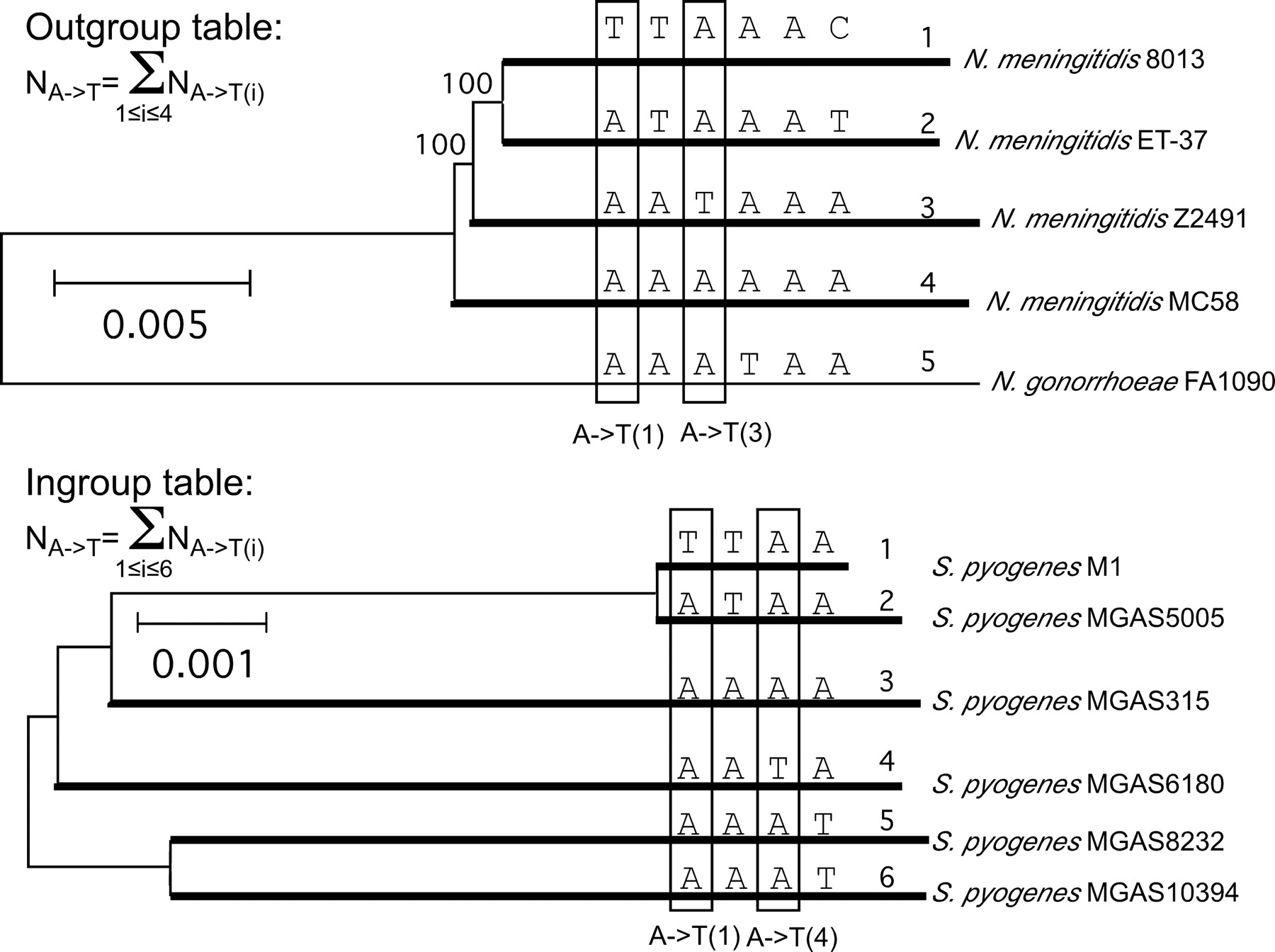 1537fig1