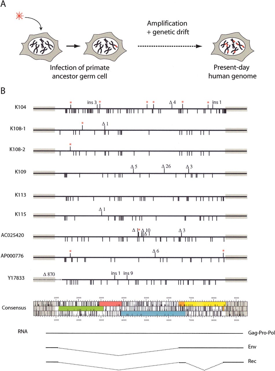 1548fig1