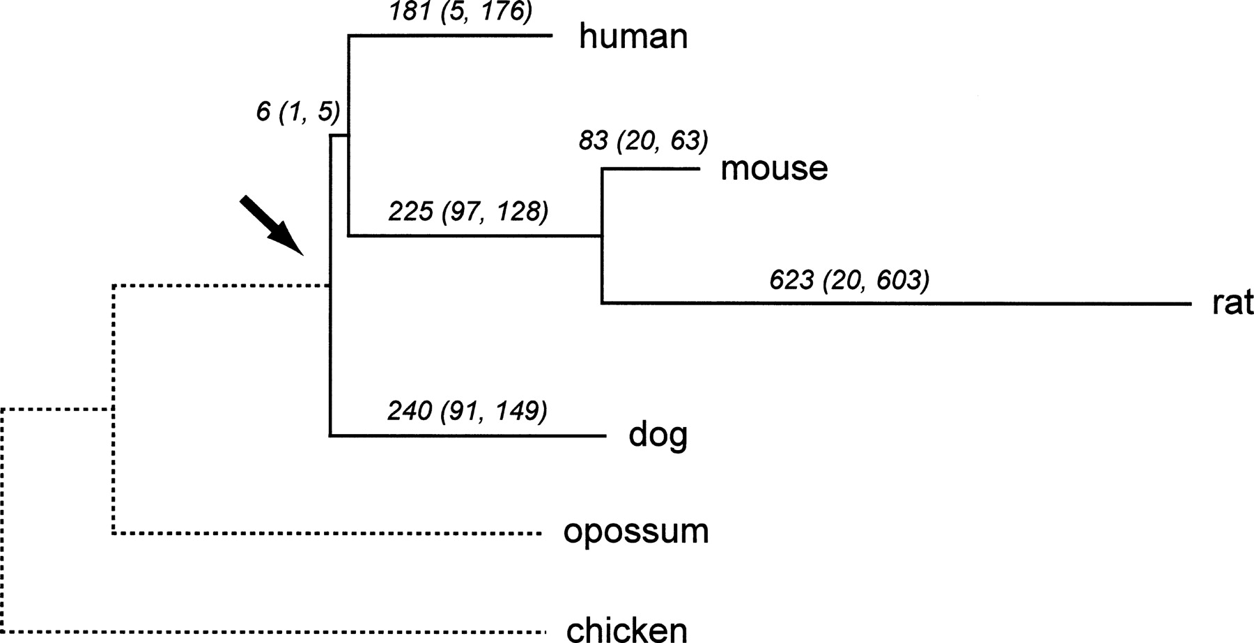 1557fig1