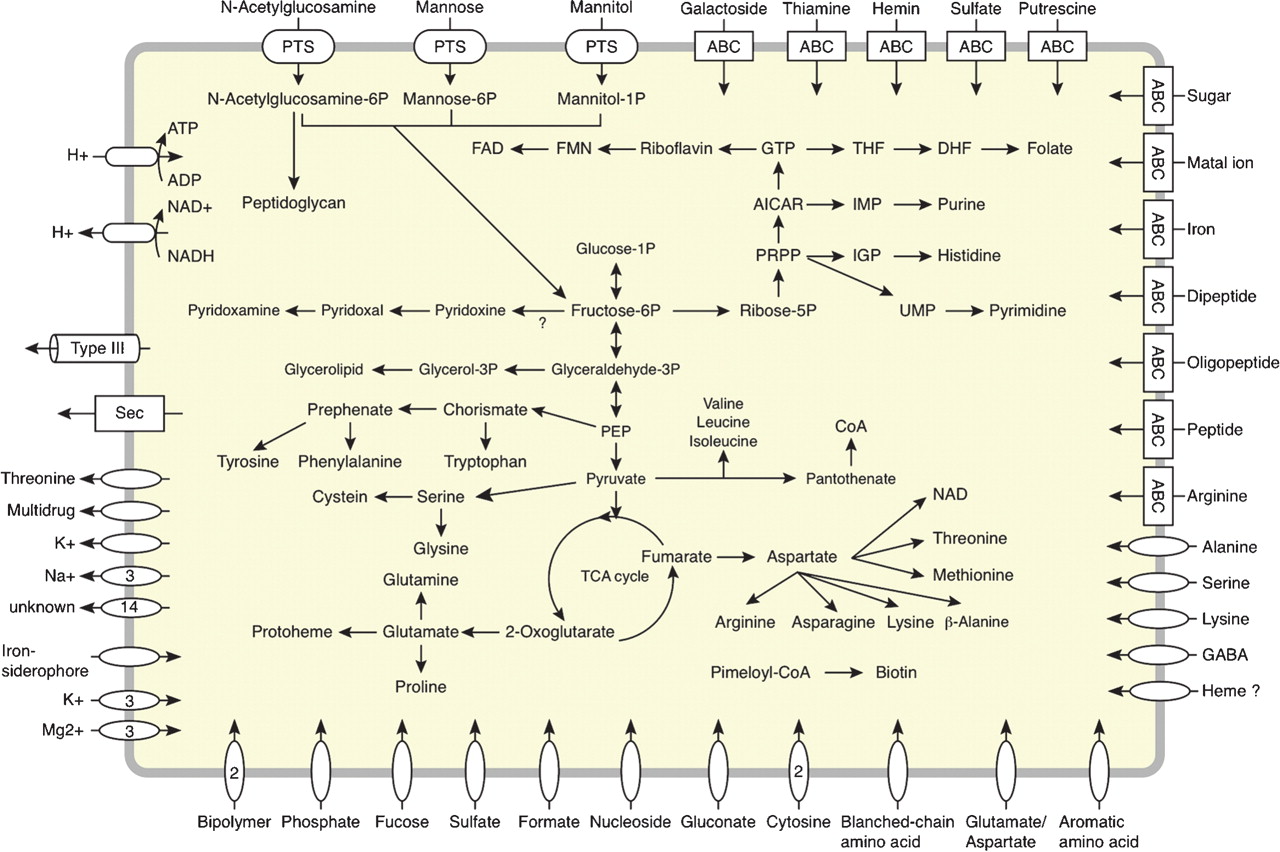 149fig4