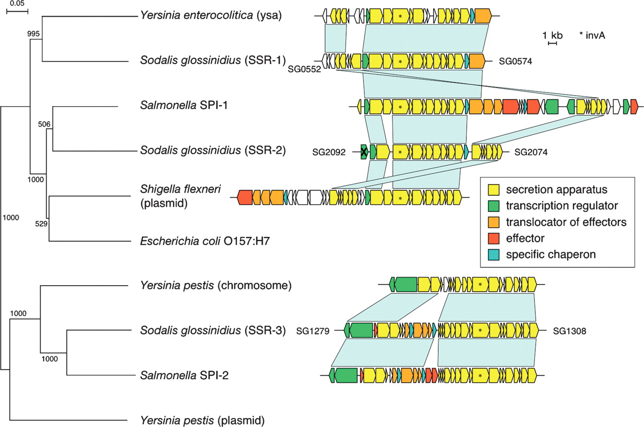 149fig5