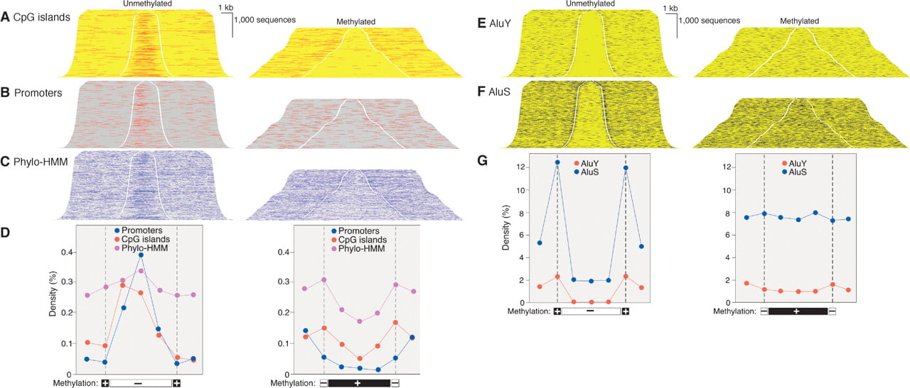 157fig3