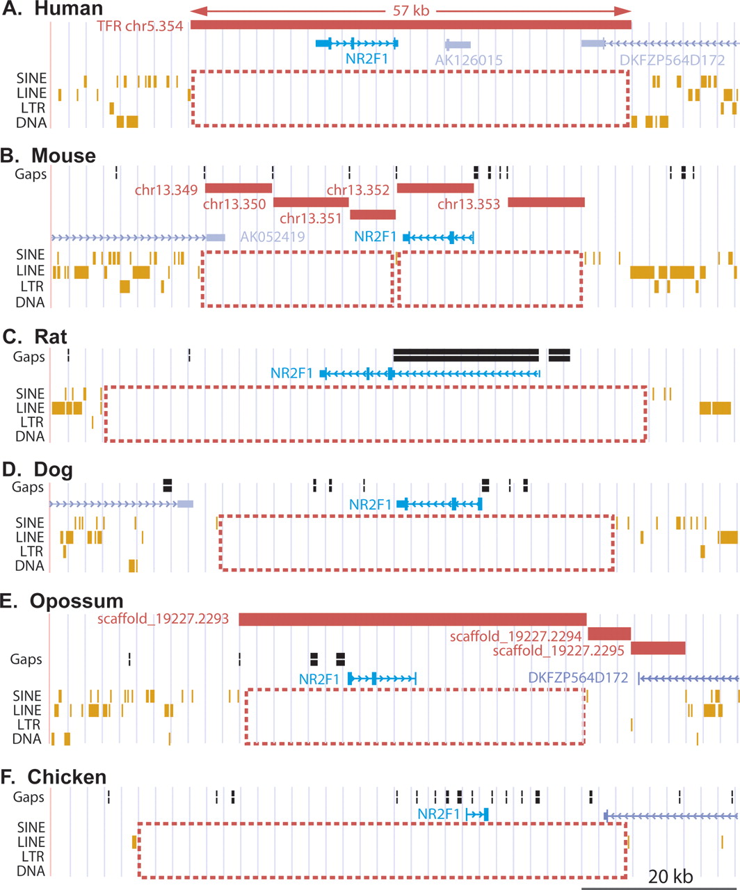 164fig1