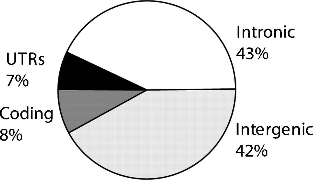164fig2