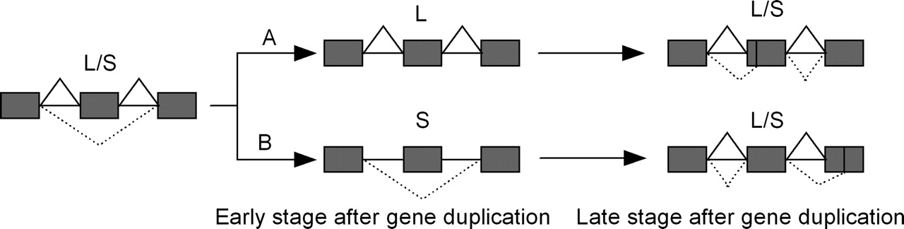 182fig2