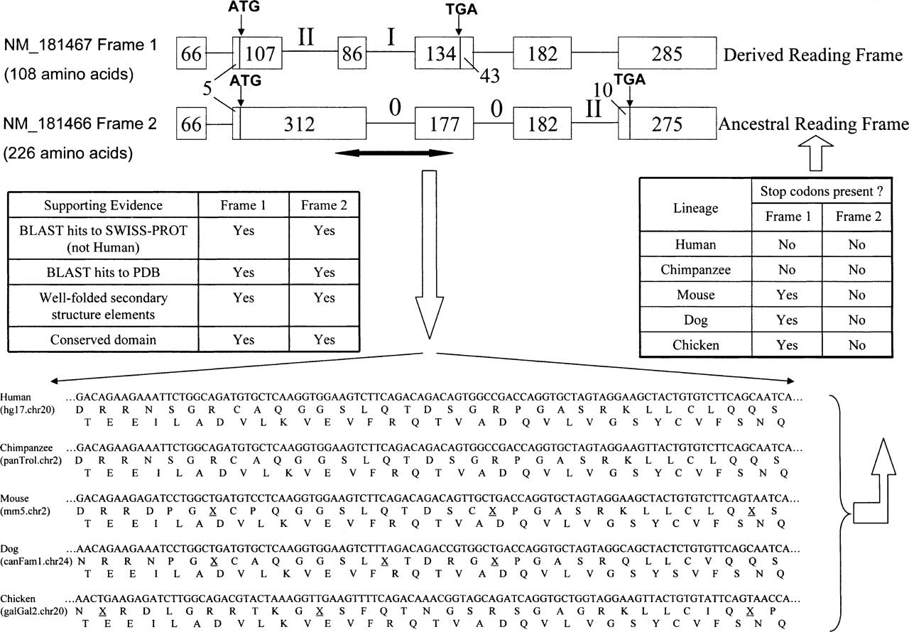 190fig1