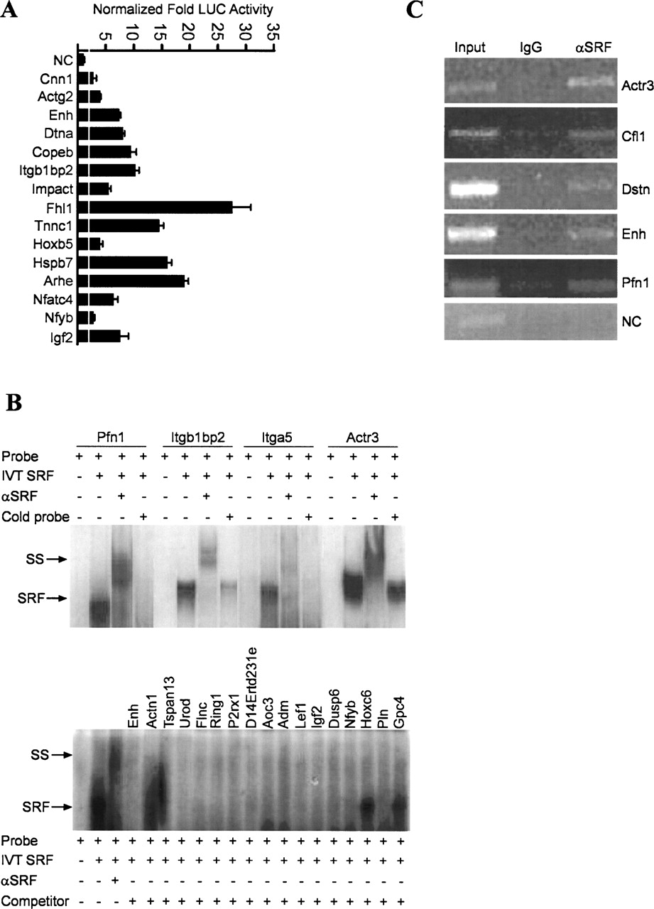 197fig3