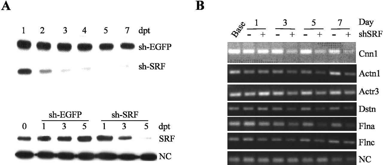 197fig4